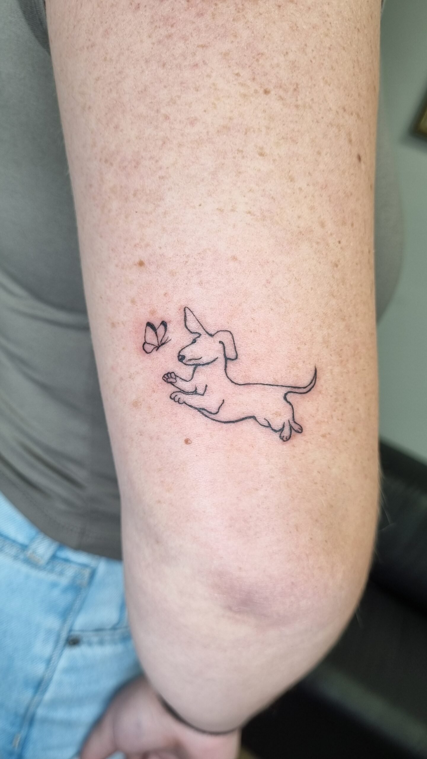 fine line dog and butterfly tattoo on arm by nat what i tat at 7th house tattoo fredericton new brunswick canada