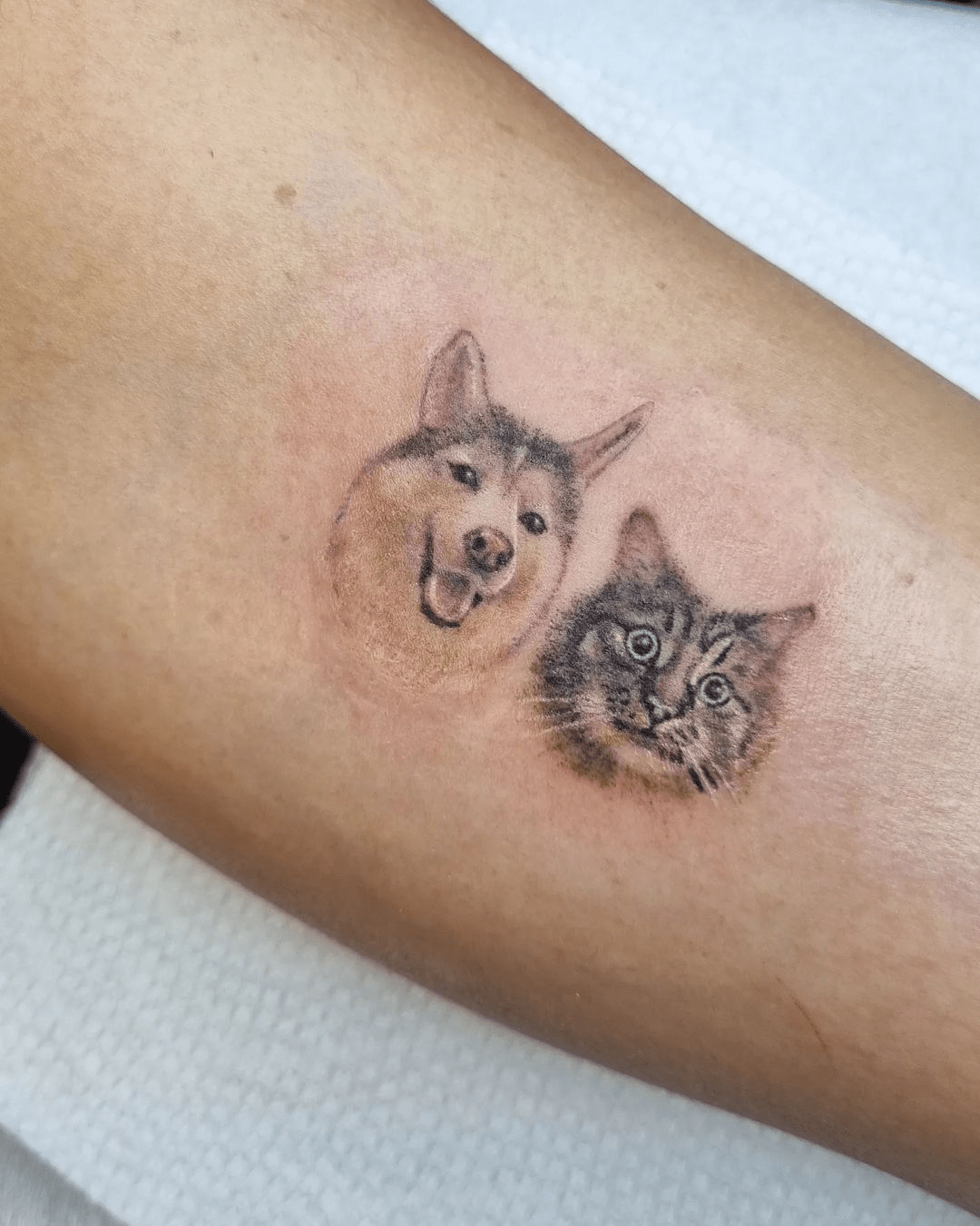 micro realism dog and cat, pet tattoo on bicep by nat what i tat at 7th house tattoo fredericton